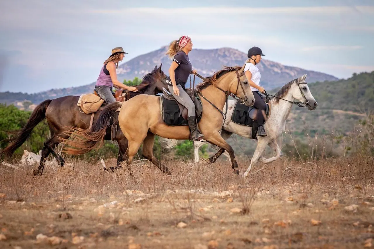 Farm stay Finca Sa Cova Vella Manacor