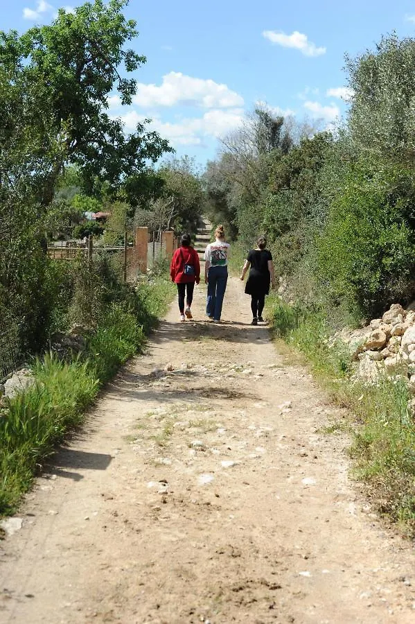 팜스테이 Finca Sa Cova Vella 마나코르