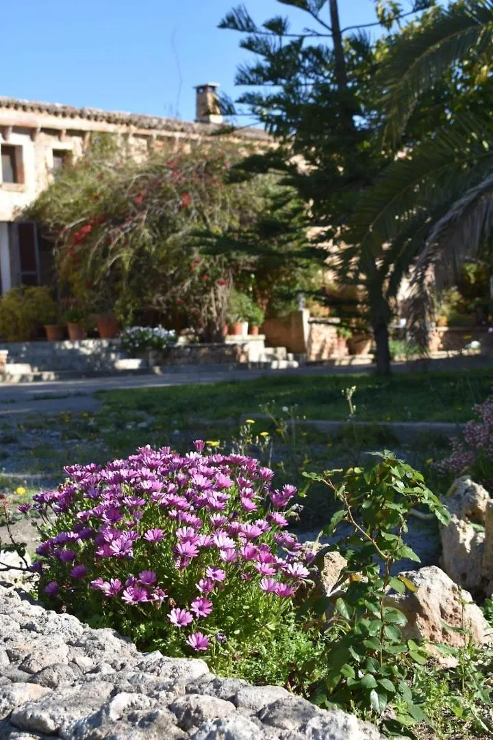 팜스테이 Finca Sa Cova Vella 마나코르 스페인