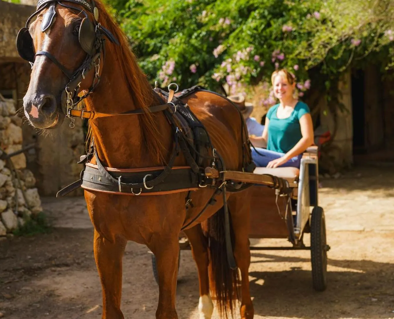 Finca Sa Cova Vella Manacor  Farm stay