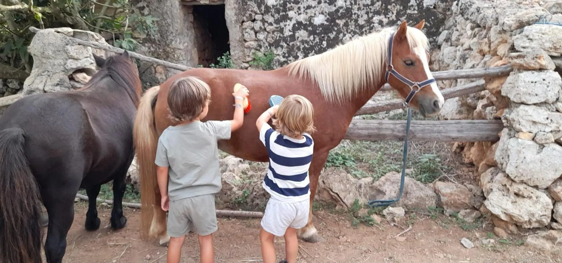 Finca Sa Cova Vella Manacor  Manacor (Mallorca)