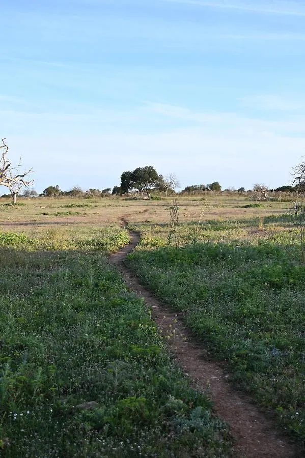 Finca Sa Cova Vella Manacor  Manacor (Mallorca)