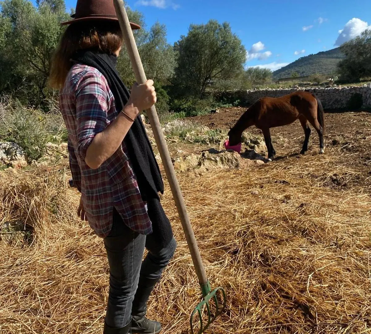Farm stay Finca Sa Cova Vella Manacor