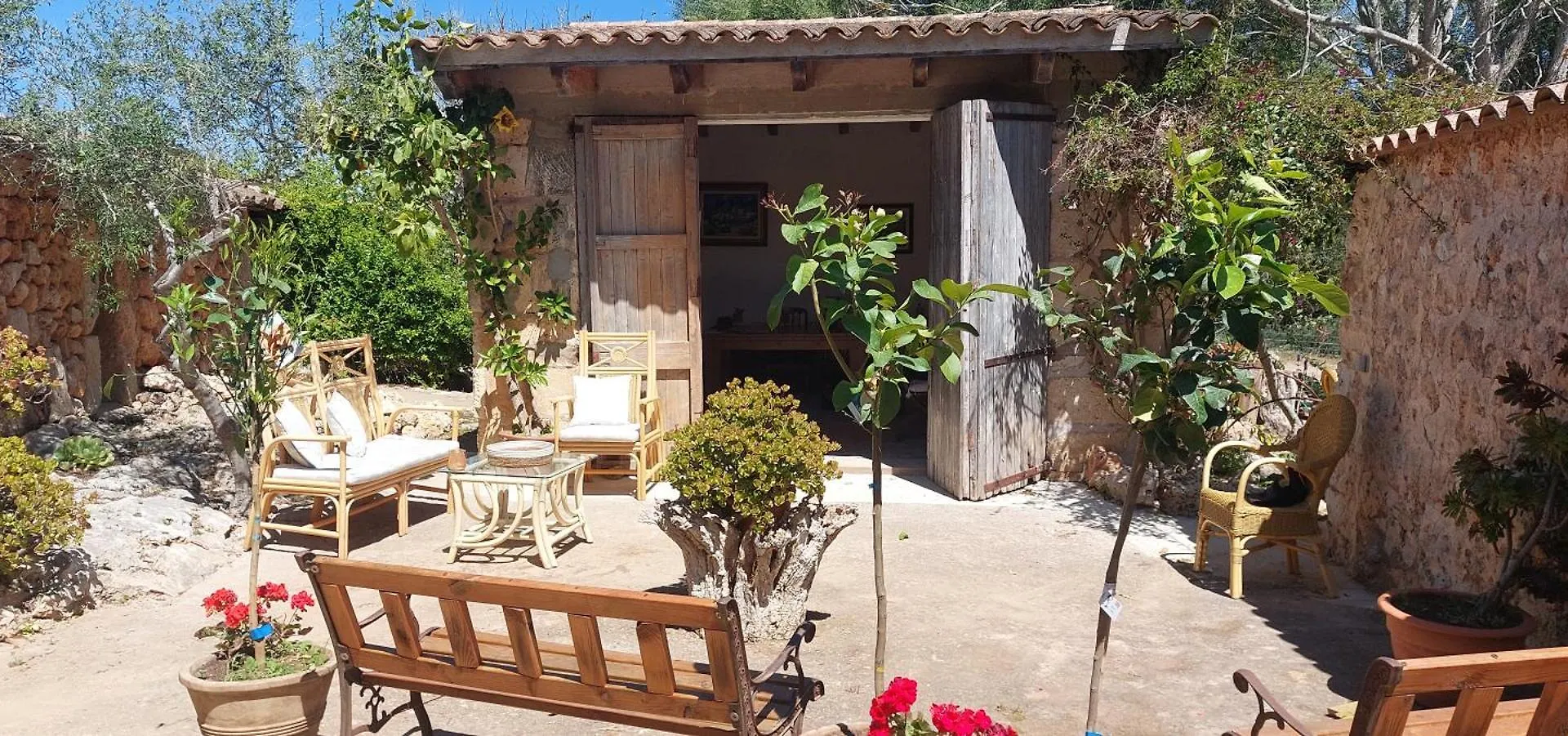 Finca Sa Cova Vella Manacor  Farm stay Manacor (Mallorca)