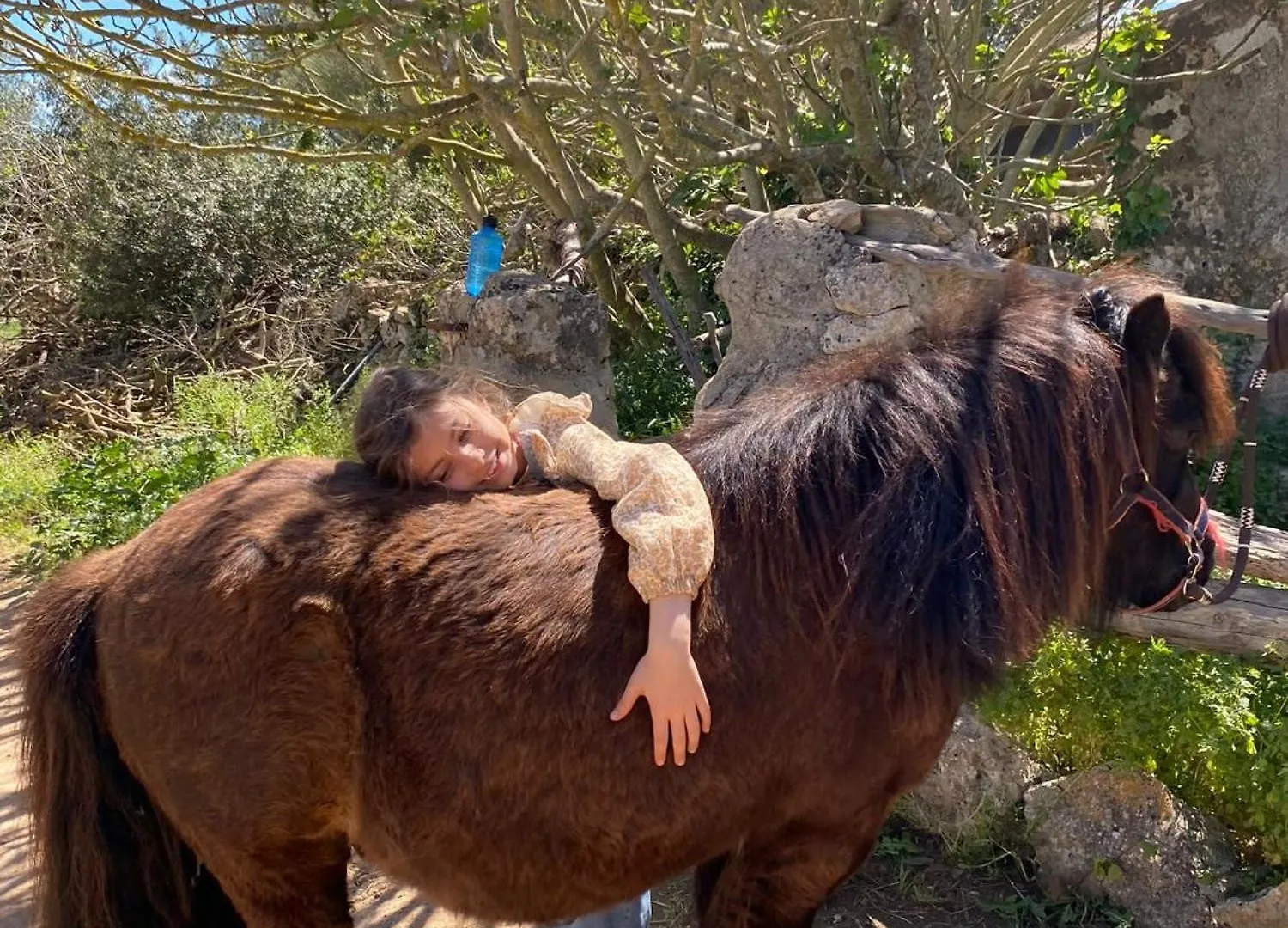 Finca Sa Cova Vella Manacor  Farm stay