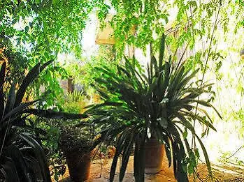 Finca Sa Cova Vella Manacor  Farm stay Manacor (Mallorca)